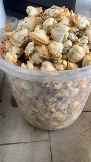 Fresh Clams