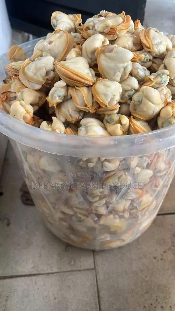Fresh Clams