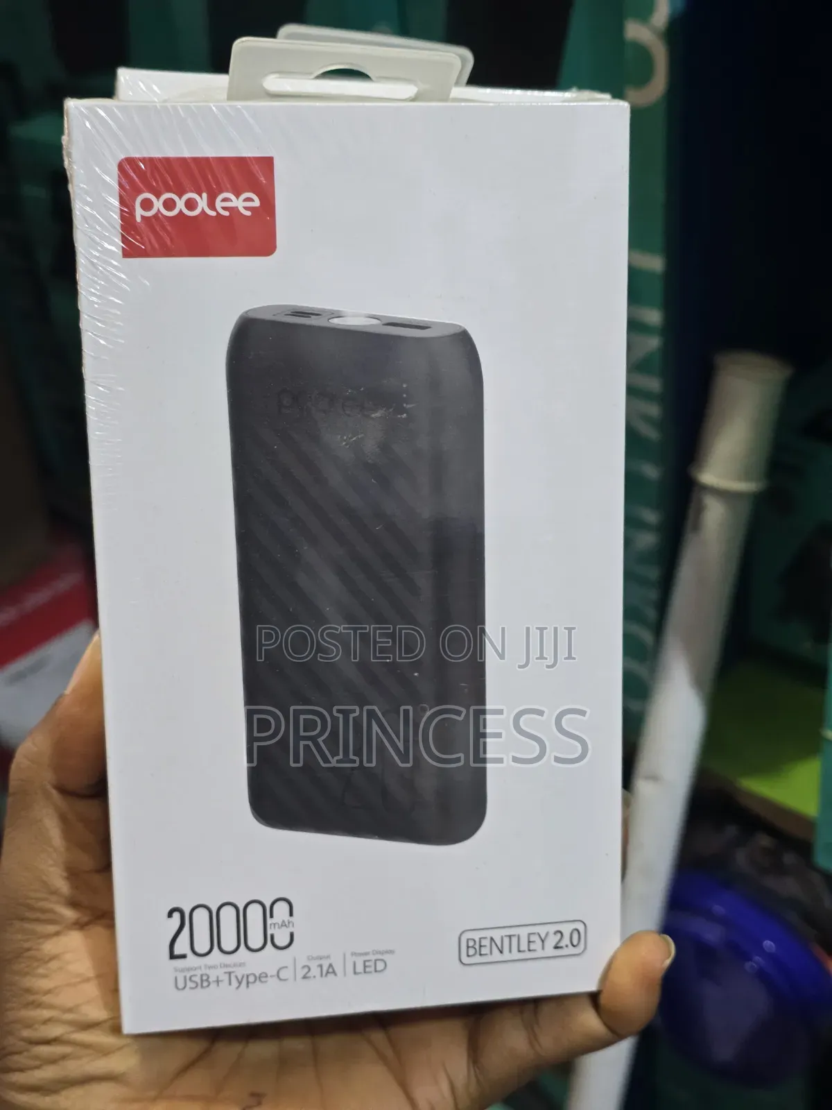 Powerbank Poolee