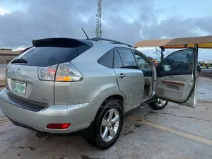 Lexus RX 2008 Gray