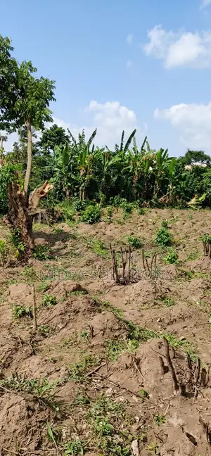 A Prime 450sqm Residential/Commercial Plot In Moniya, Ibadan