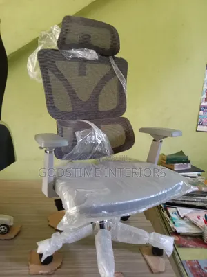 Ergonomic Mech Chair