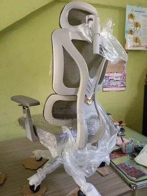 Ergonomic Mech Chair