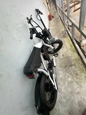Electric Bike