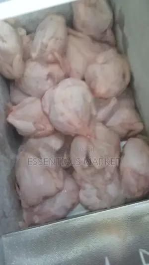Healthy Frozen Full Chicken