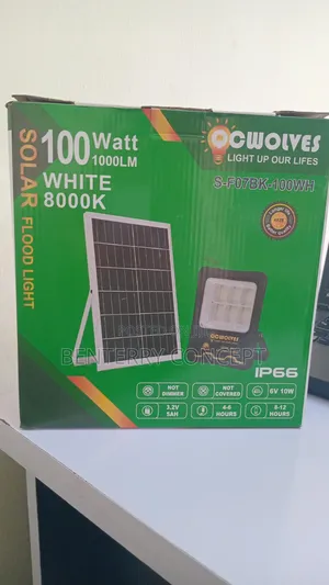 Solar Flood Lamp