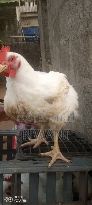 Agricultural Food