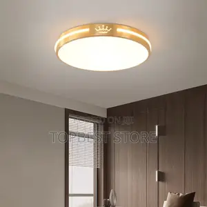 Modern Ceiling Fitting