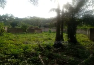 Ahiaeke Okwuta Road Land for Sale in Umuahia