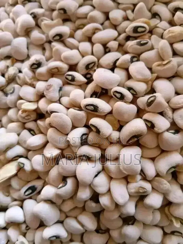 Iron Beans