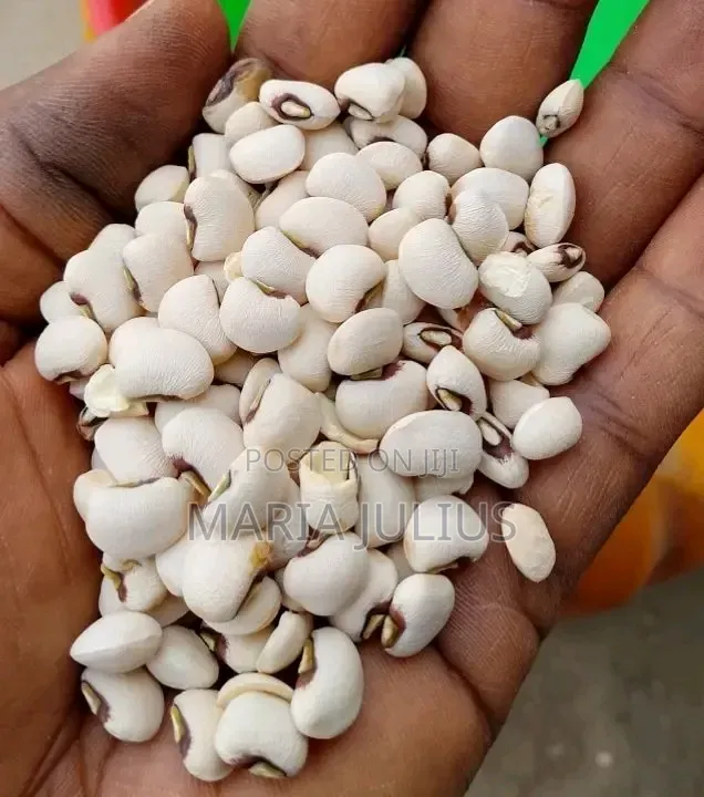 Iron Beans
