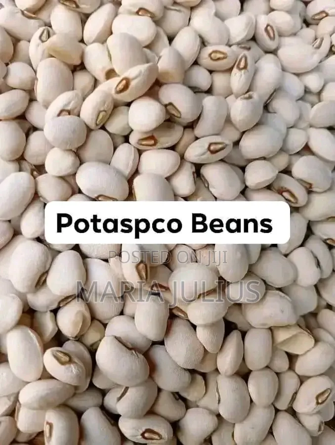 Iron Beans