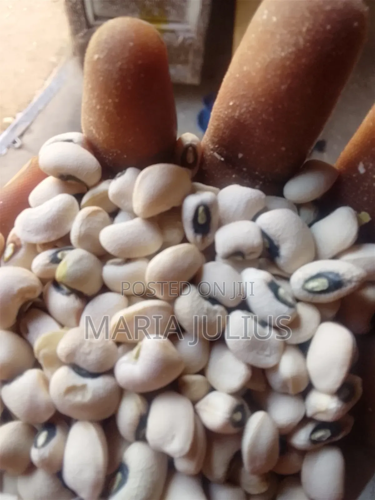 Iron Beans