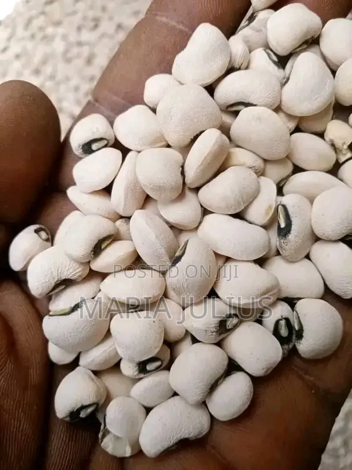 Iron Beans