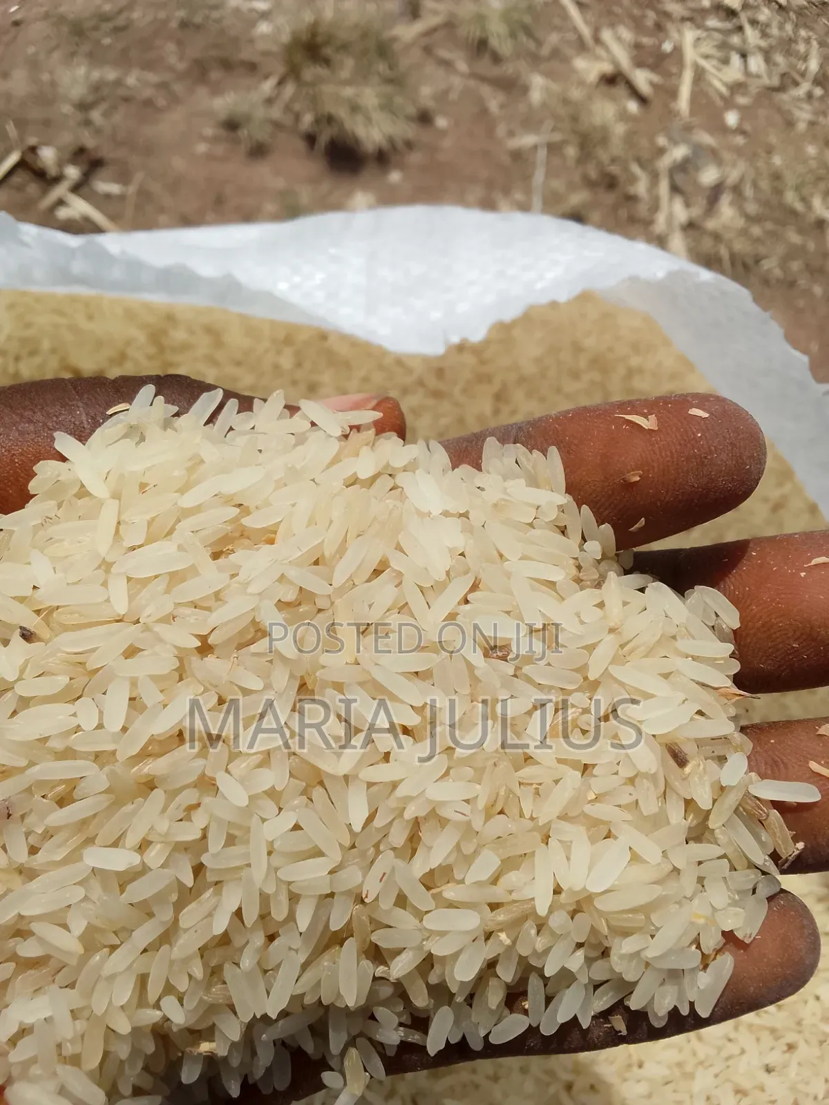 Nigeria Rice