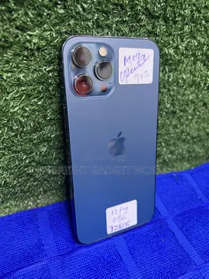 Apple iPhone 12 Pro Max 256 GB Blue