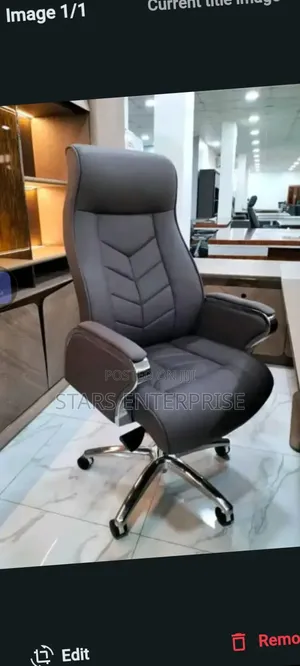 Office Chair / Swivel Chair
