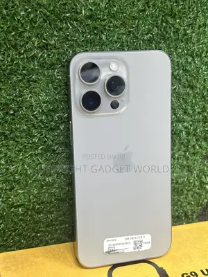 Apple iPhone 15 Pro Max 256 GB Gray