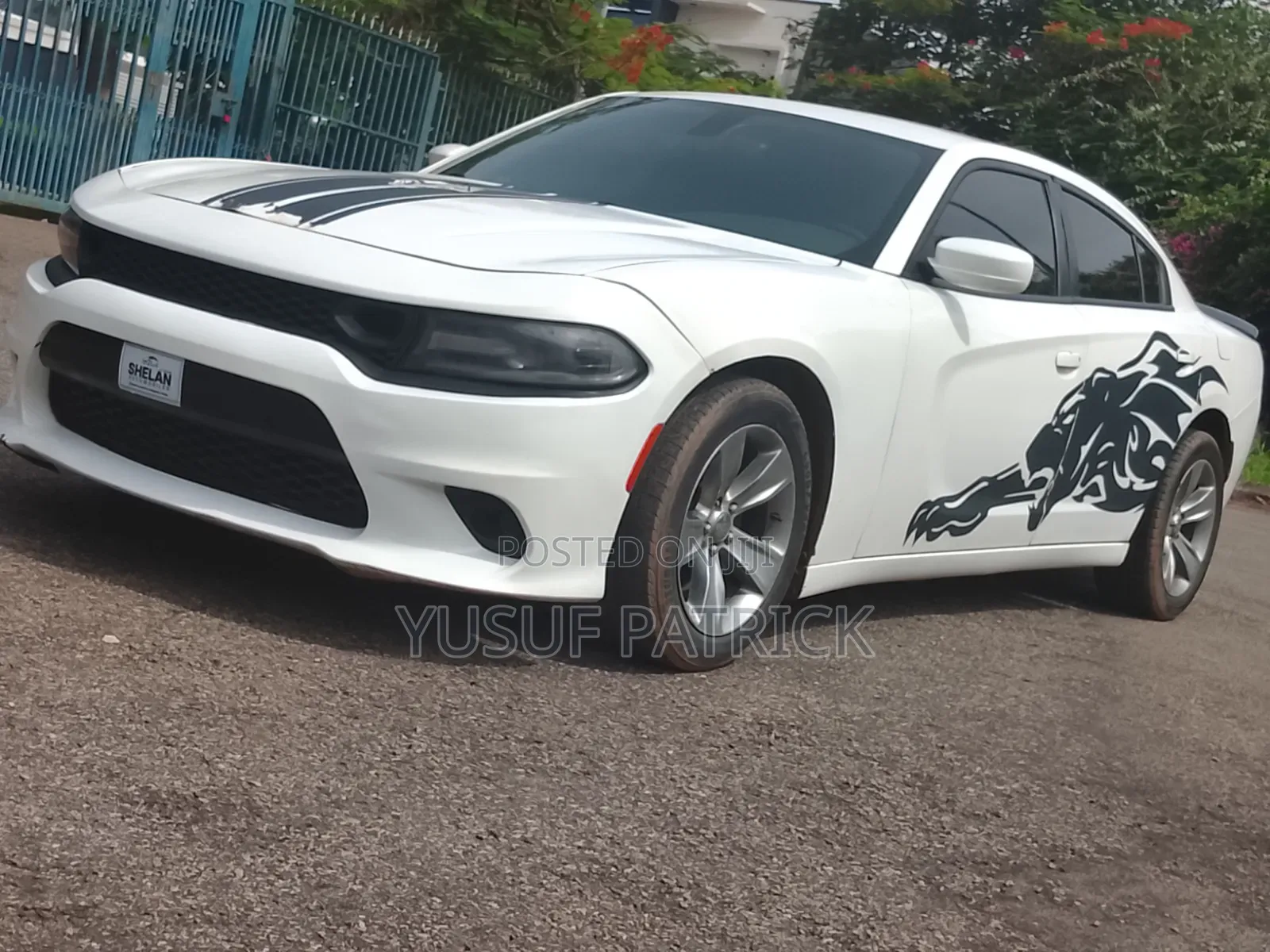 Dodge Charger 2016 White