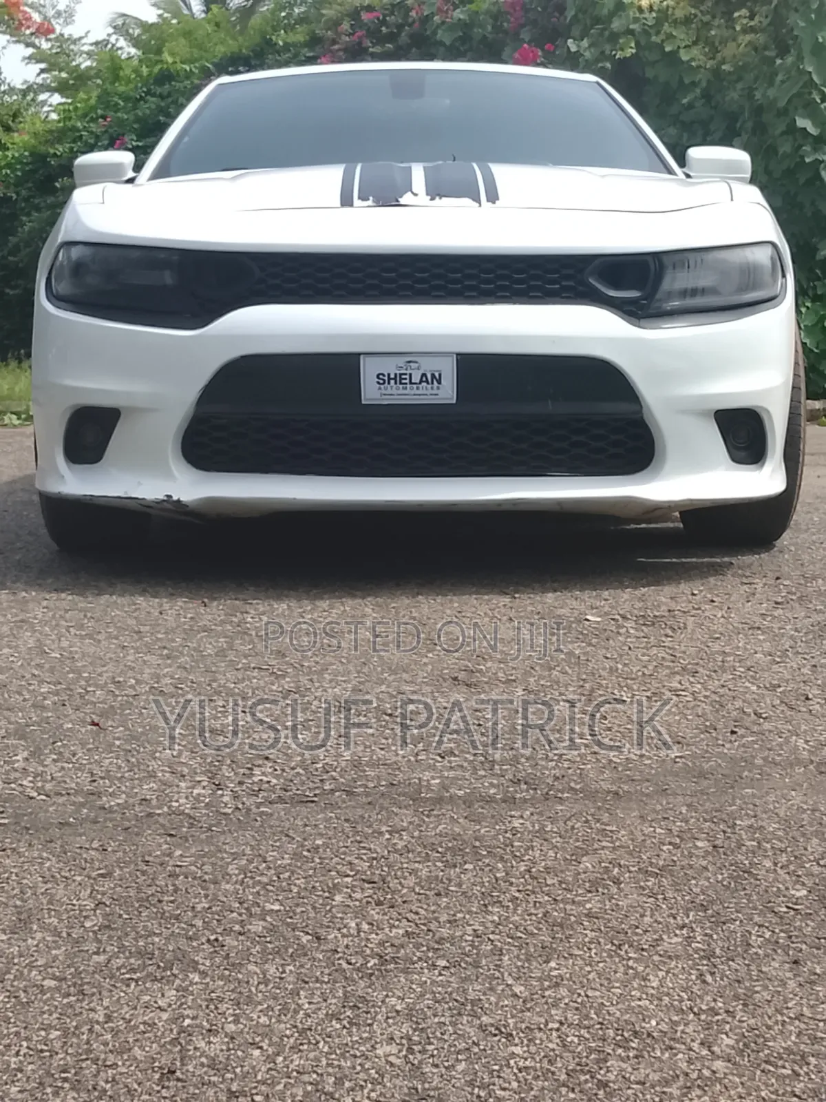 Dodge Charger 2016 White