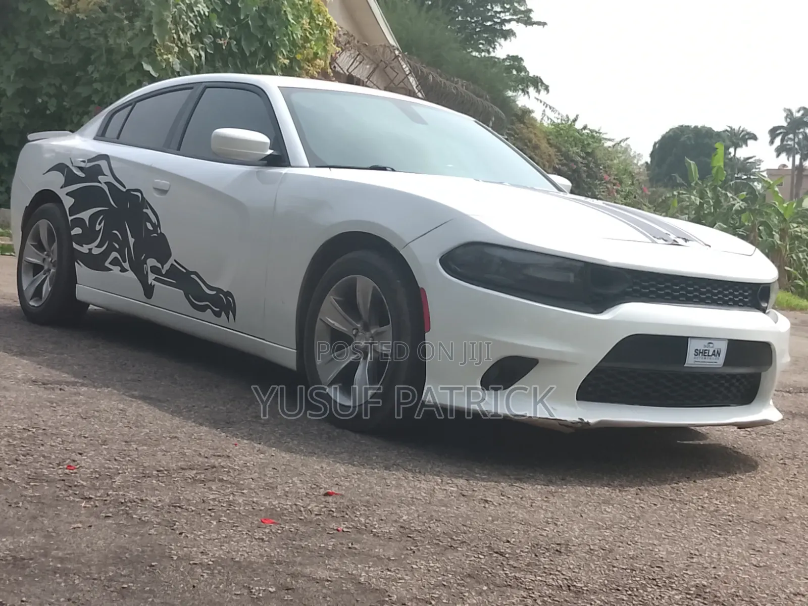 Dodge Charger 2016 White