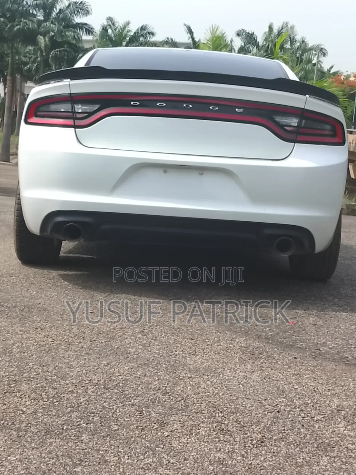 Dodge Charger 2016 White