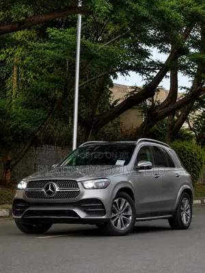 Mercedes-Benz GLE-Class GLE 450 4MATIC 2020 Silver