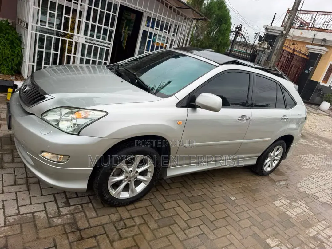 Lexus RX 2008 Silver