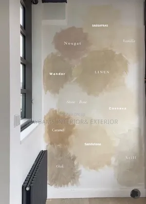 Limewash Painting