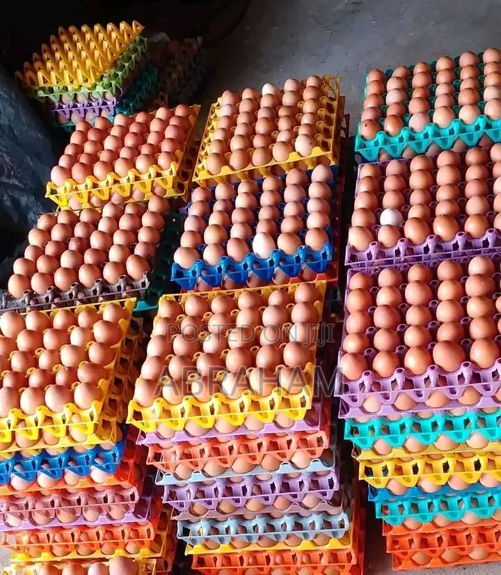 Egg-Plus Eggs