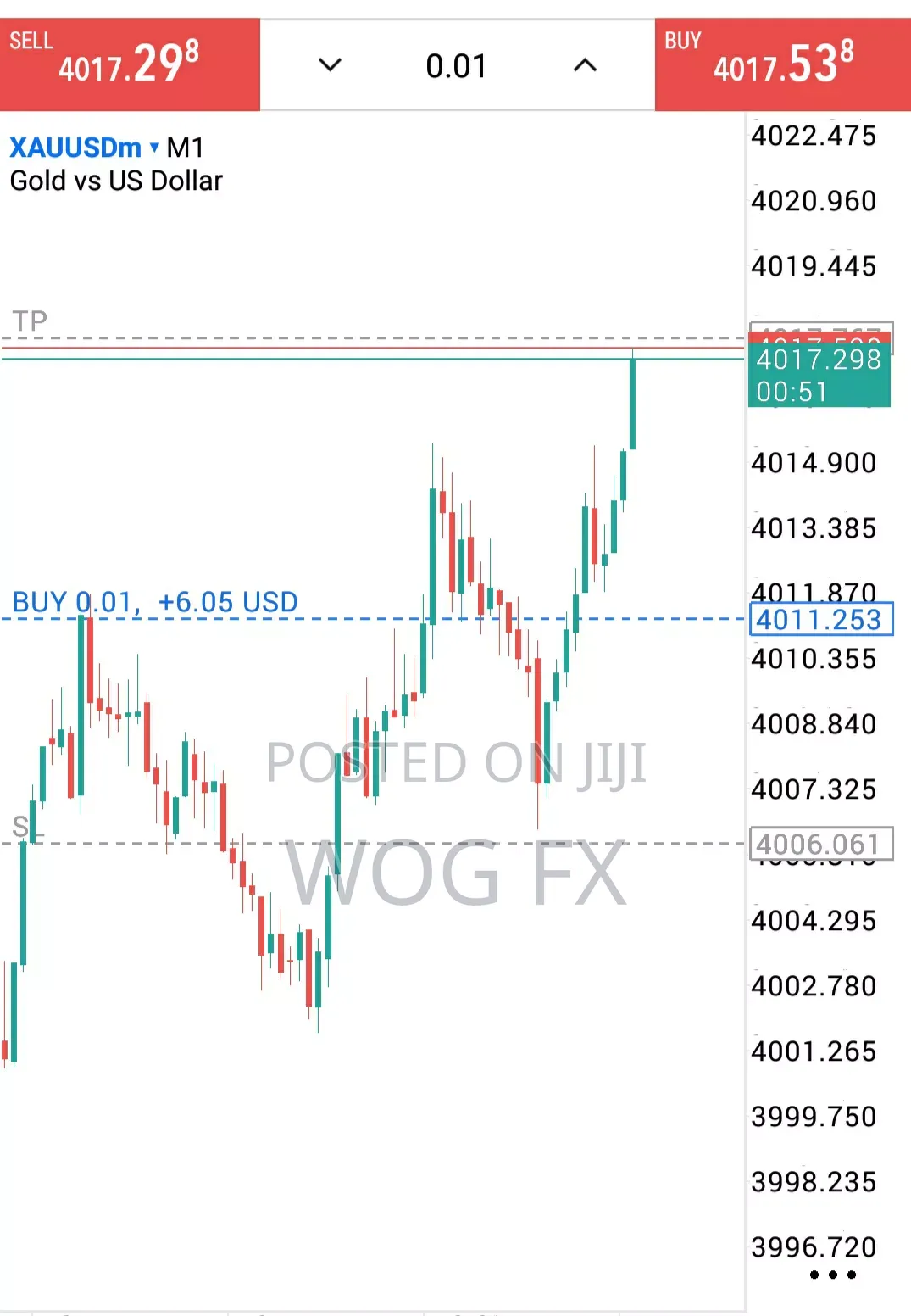 Copy My Trade Decision And Make Money For Your Self