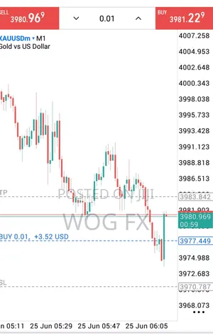 Copy My Trade Decision And Make Money For Your Self