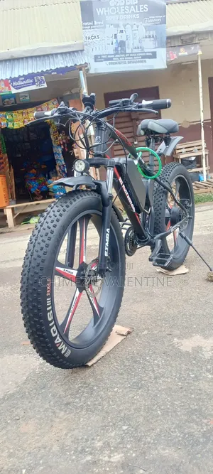 E-Bike Electric Bicycle