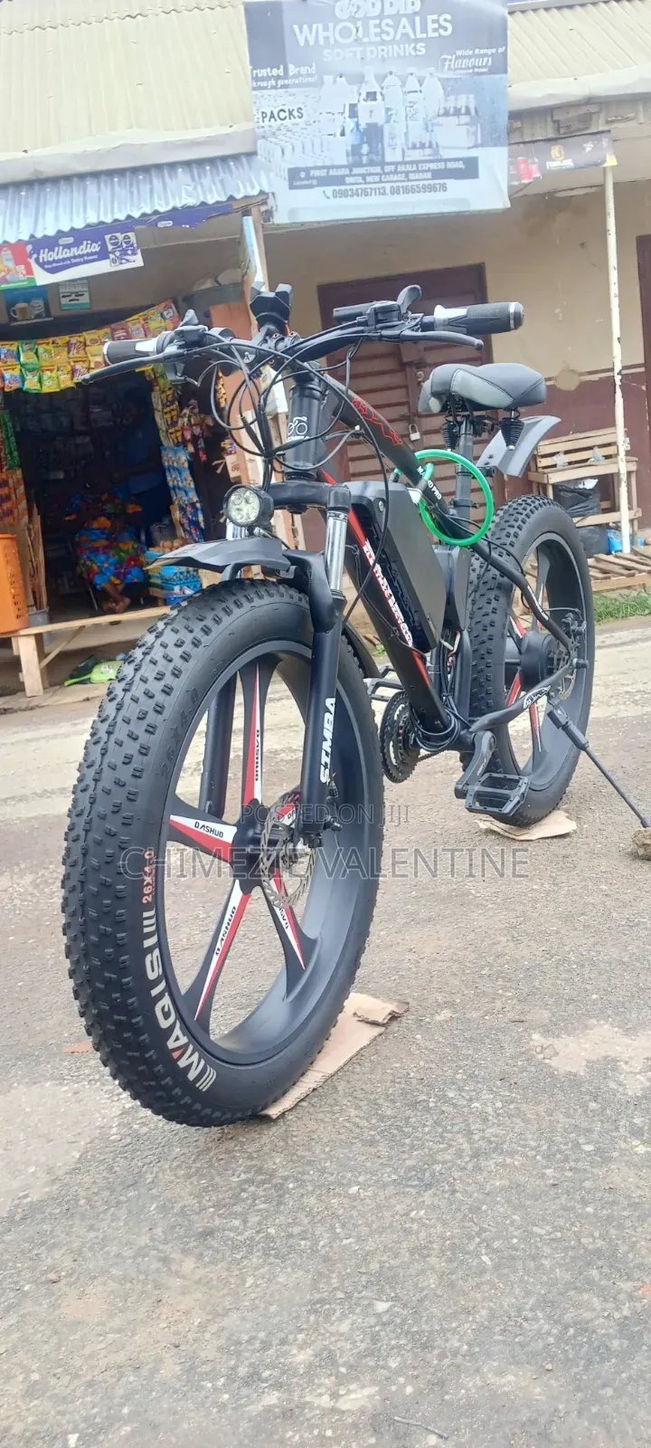E-Bike Electric Bicycle