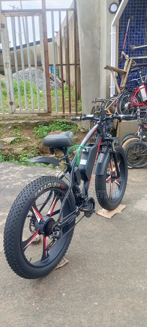 E-Bike Electric Bicycle