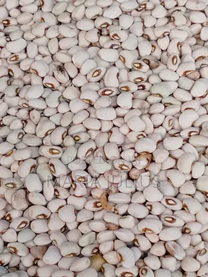 Patasco Beans