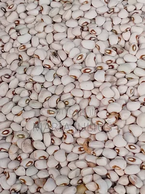 Patasco Beans