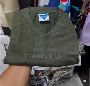 Imported Quality Unisex v-Neck T-Shirt