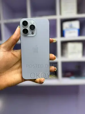 Apple iPhone 15 Pro Max 256 GB Gray