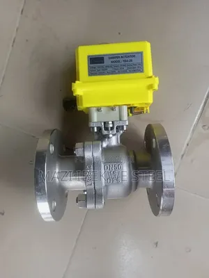 2" Motor Rise Valve