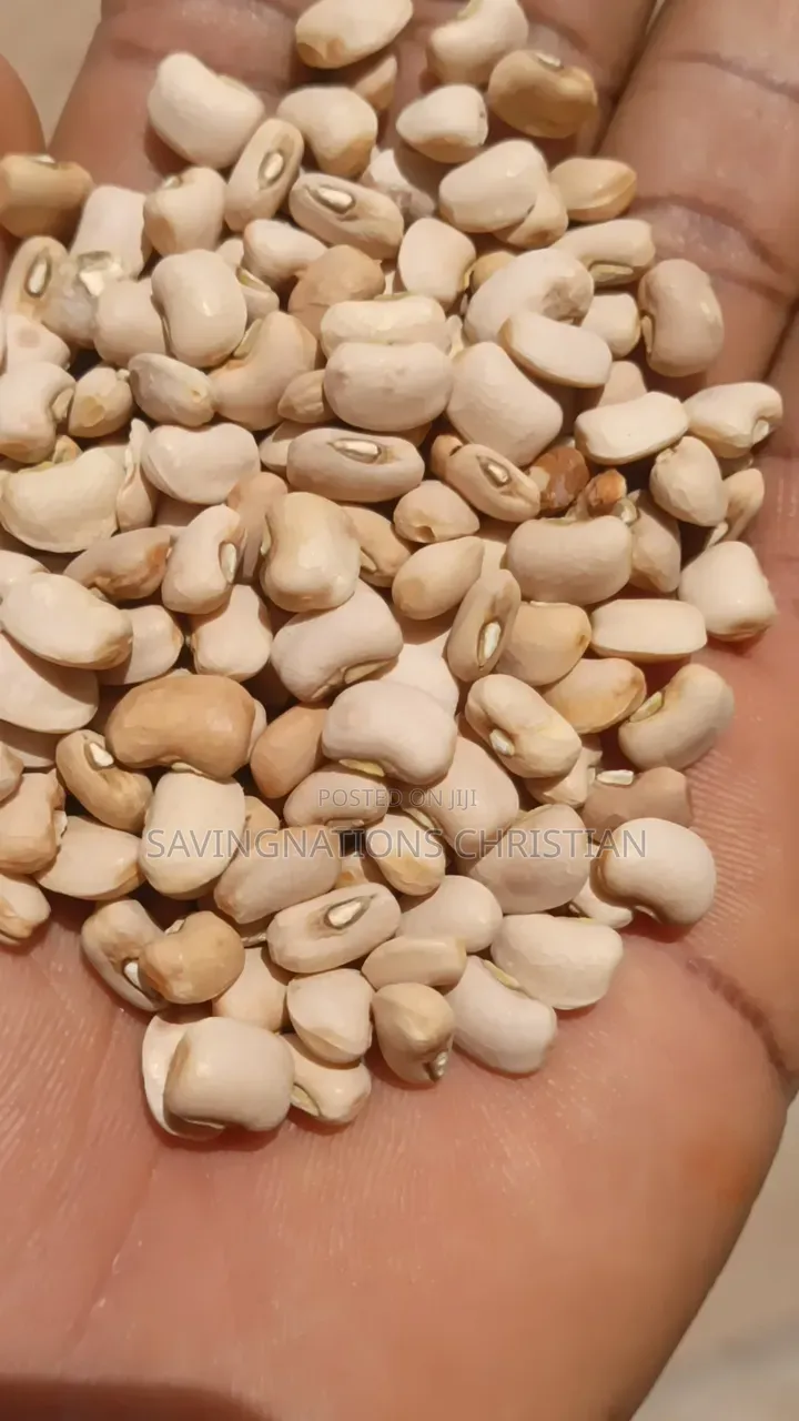 Grains Library