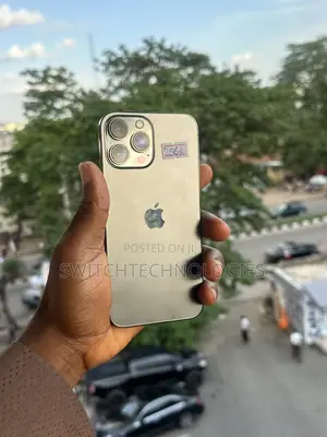 Apple iPhone 13 Pro Max 256 GB Gray