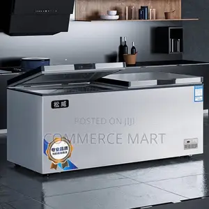 Nixue Double Home/Commercial Deep Freezer