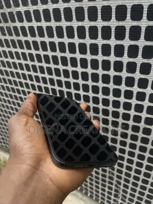 Apple iPhone 12 Pro Max 256 GB Gray