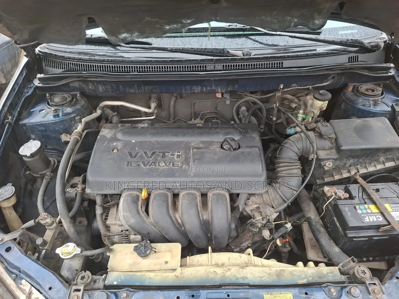 Toyota Corolla 2004 Blue
