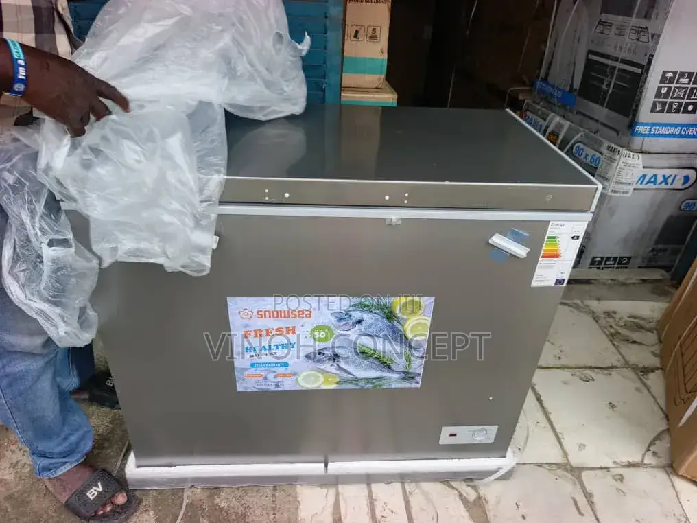 Skyrun Freezer (200 Litres)