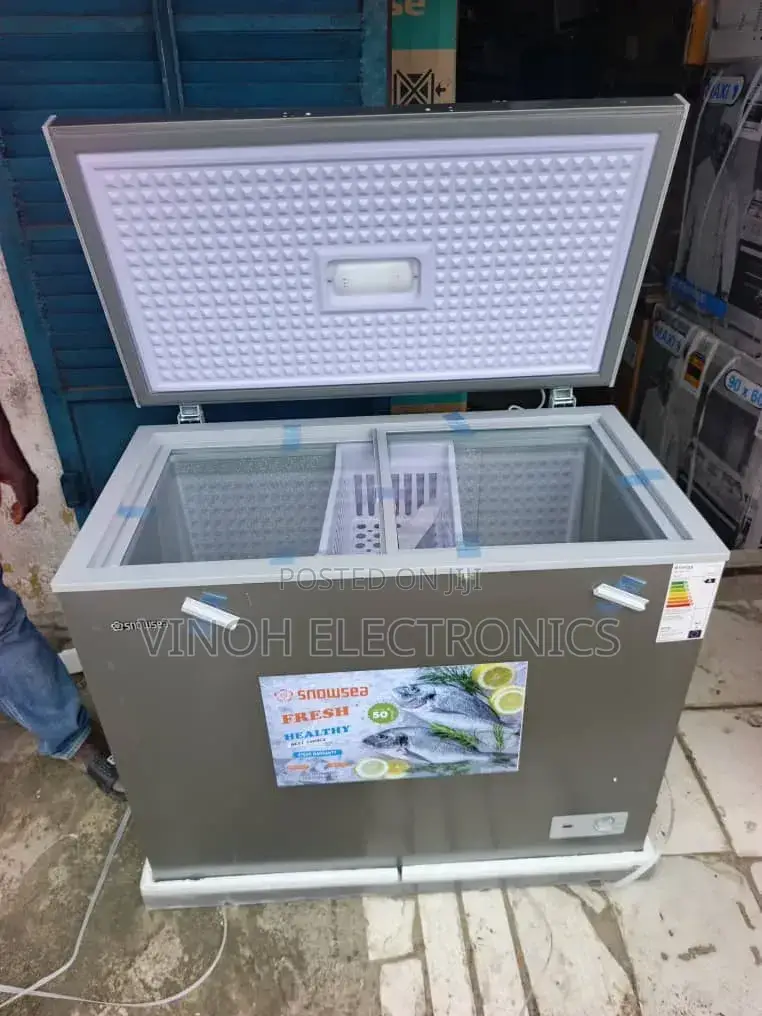 Skyrun Freezer (200 Litres)