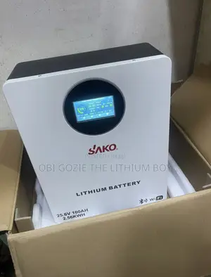 2.5kwh 24v Sako Lithium Battery Best Importer and Distributor