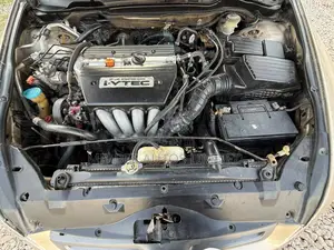 Honda Accord 2004 Gold