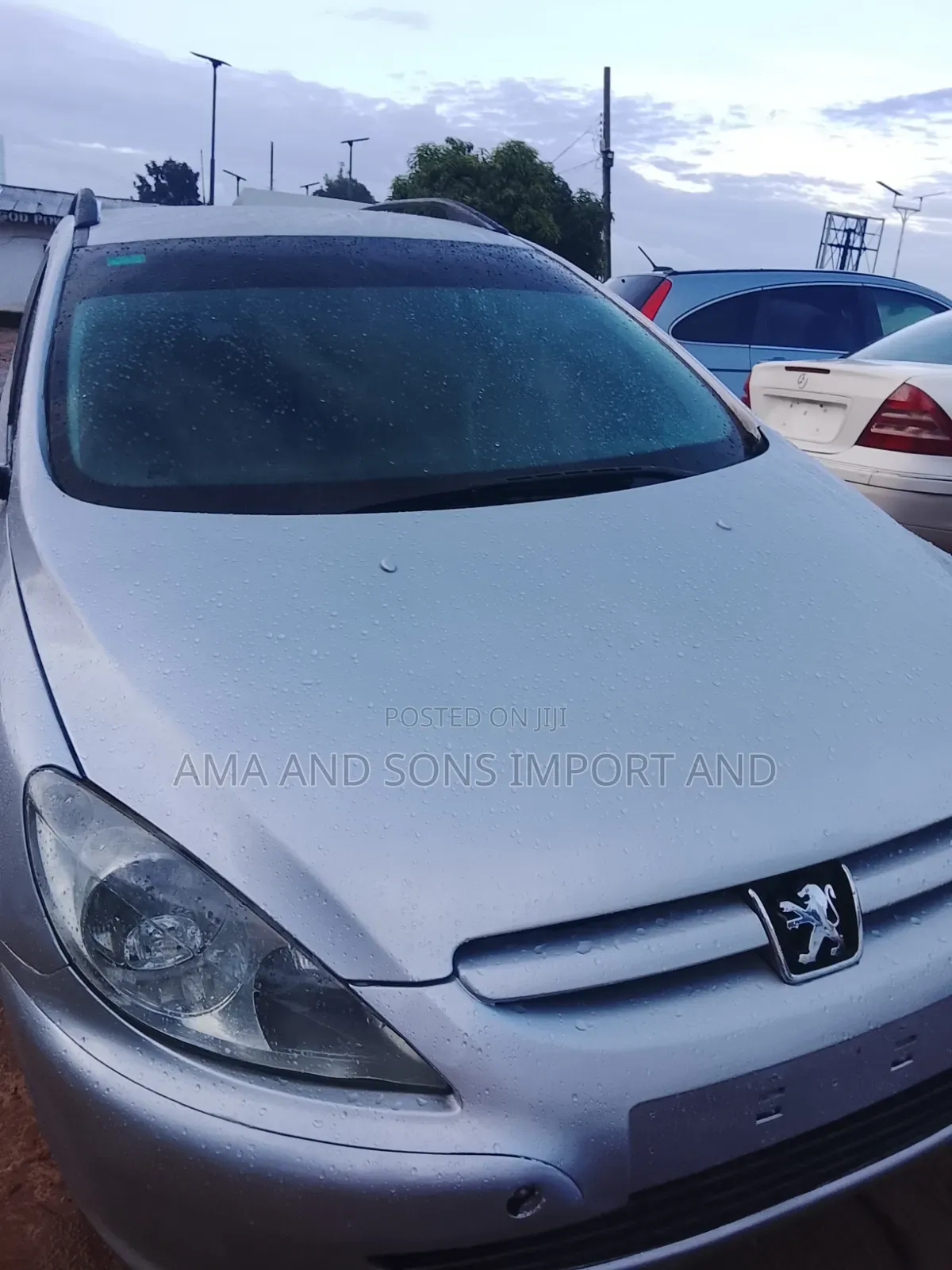 Peugeot 307 2007 Silver